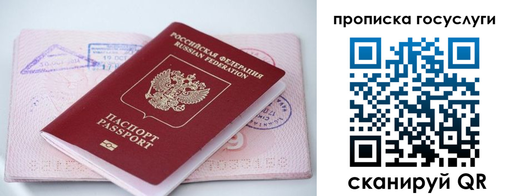прописка законно в Зернограде